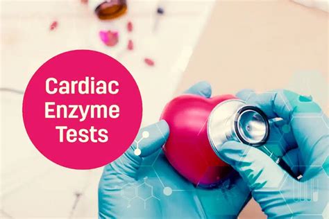 enzime cardiace|Cardiac Enzymes: Test For Heart Attacks and More